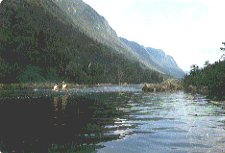 Rivi�re Jacques Cartier